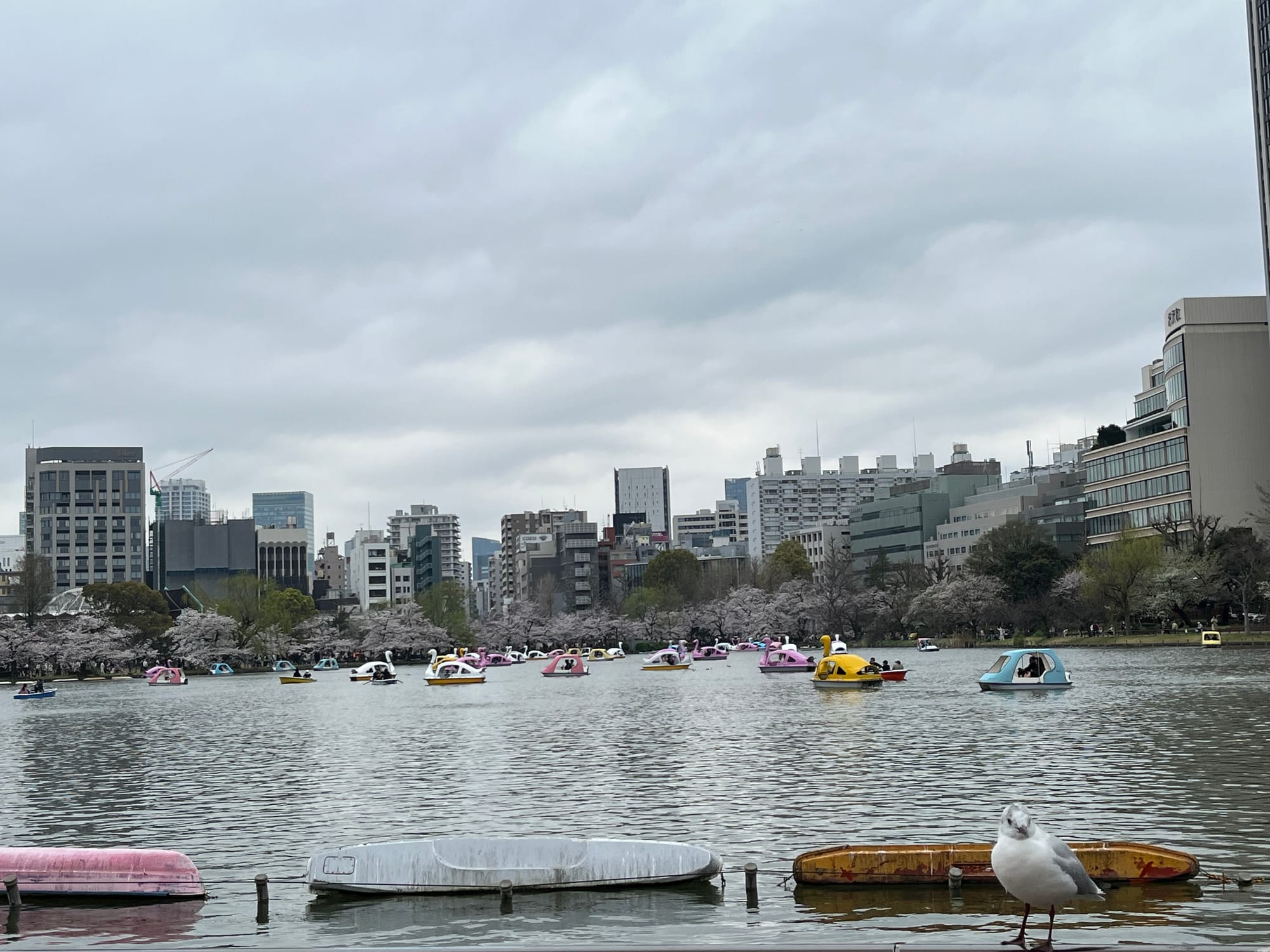 Ueno, Yanaka, Akihabara