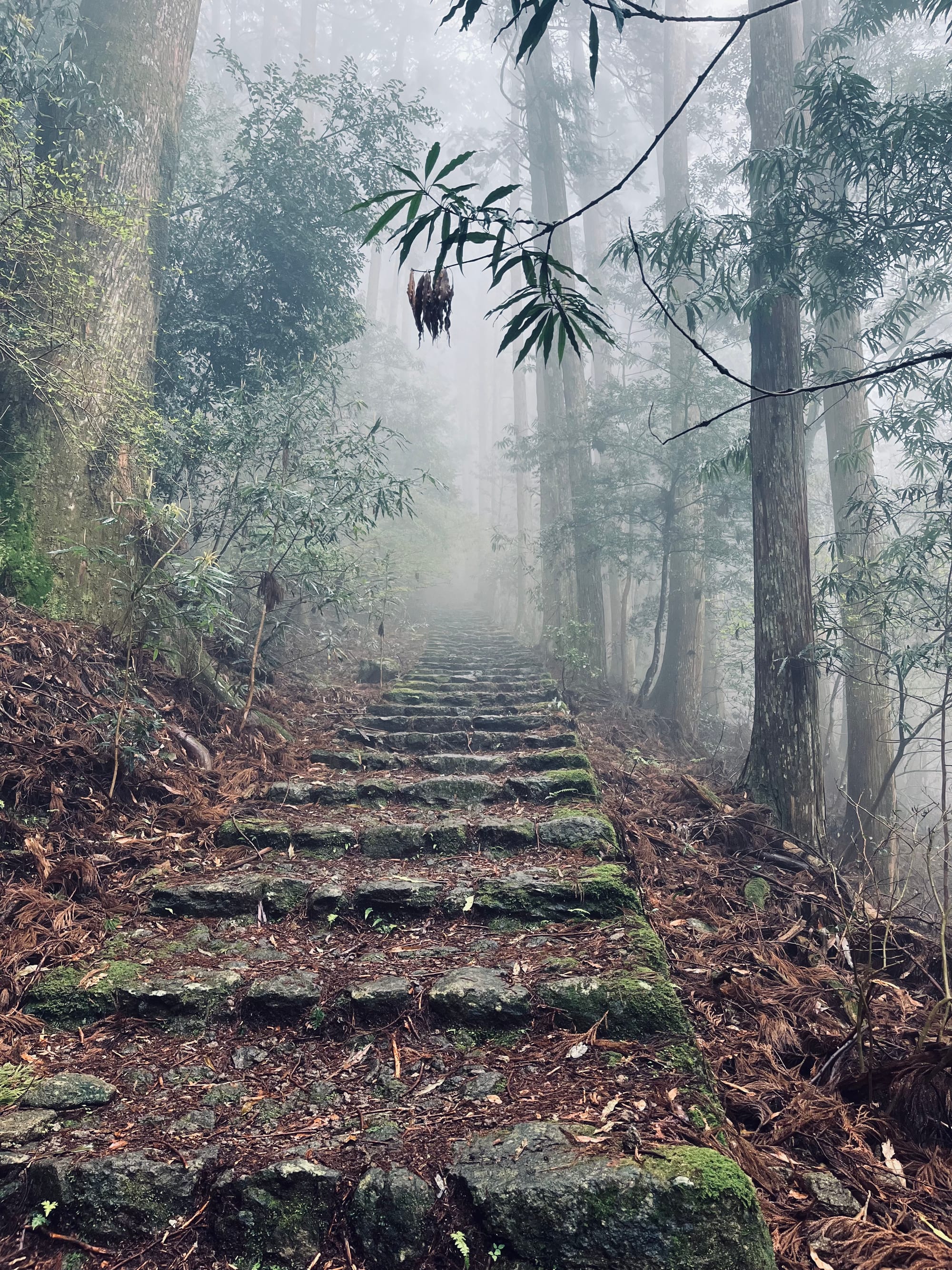 TROIS JOURS DE RANDONNÉE SUR LES CHEMINS DE PÉLERINAGE DU KUMANO KODO