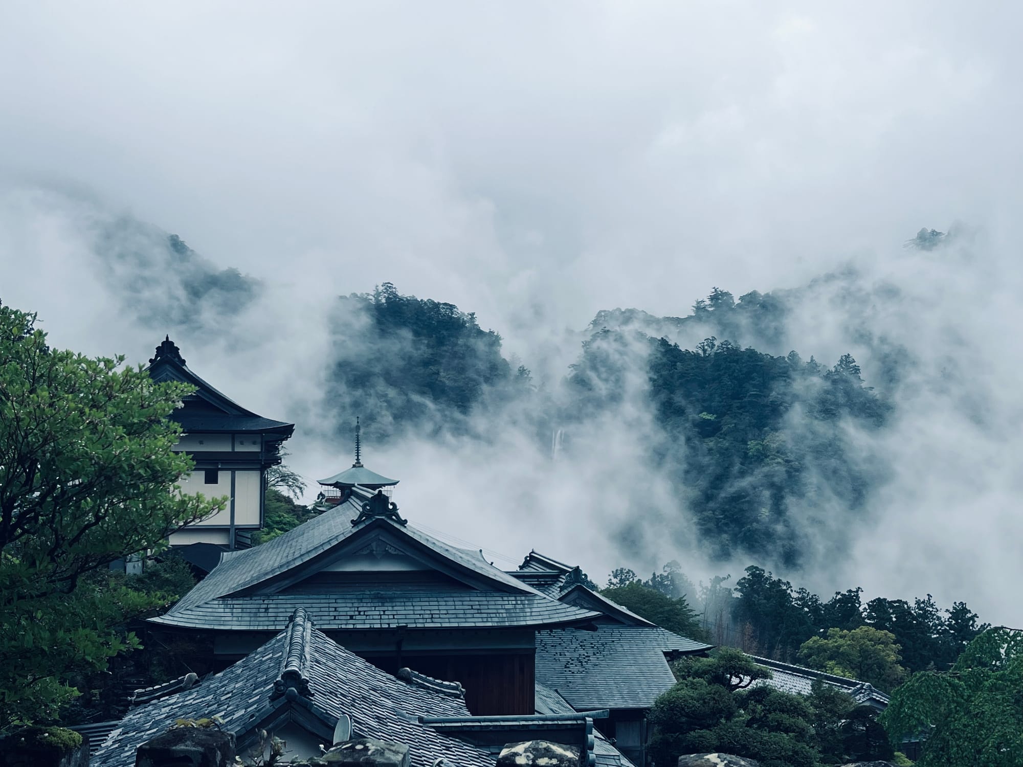 TROIS JOURS DE RANDONNÉE SUR LES CHEMINS DE PÉLERINAGE DU KUMANO KODO