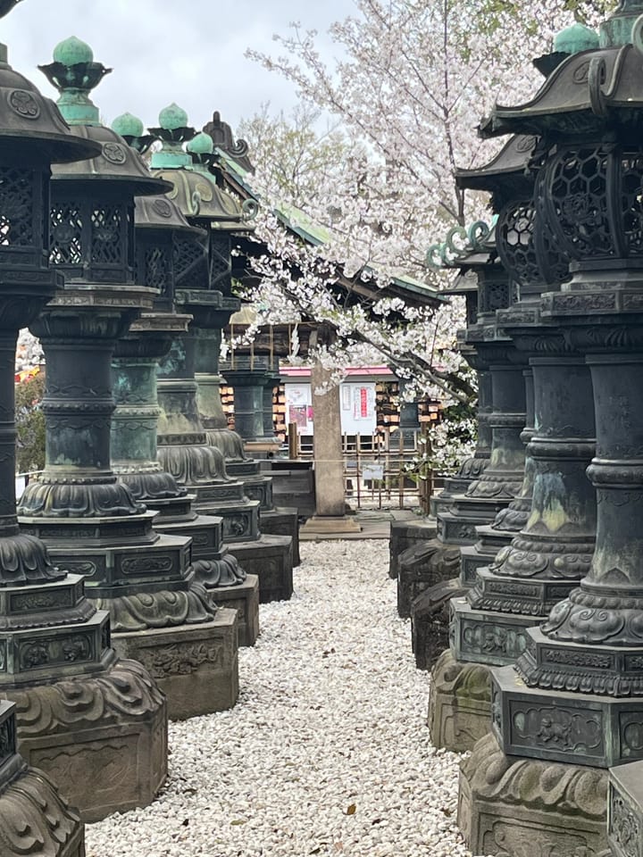 Ueno, Yanaka, Akihabara