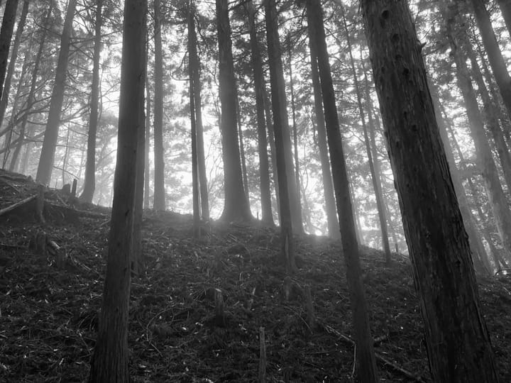 TROIS JOURS DE RANDONNÉE SUR LES CHEMINS DE PÉLERINAGE DU KUMANO KODO